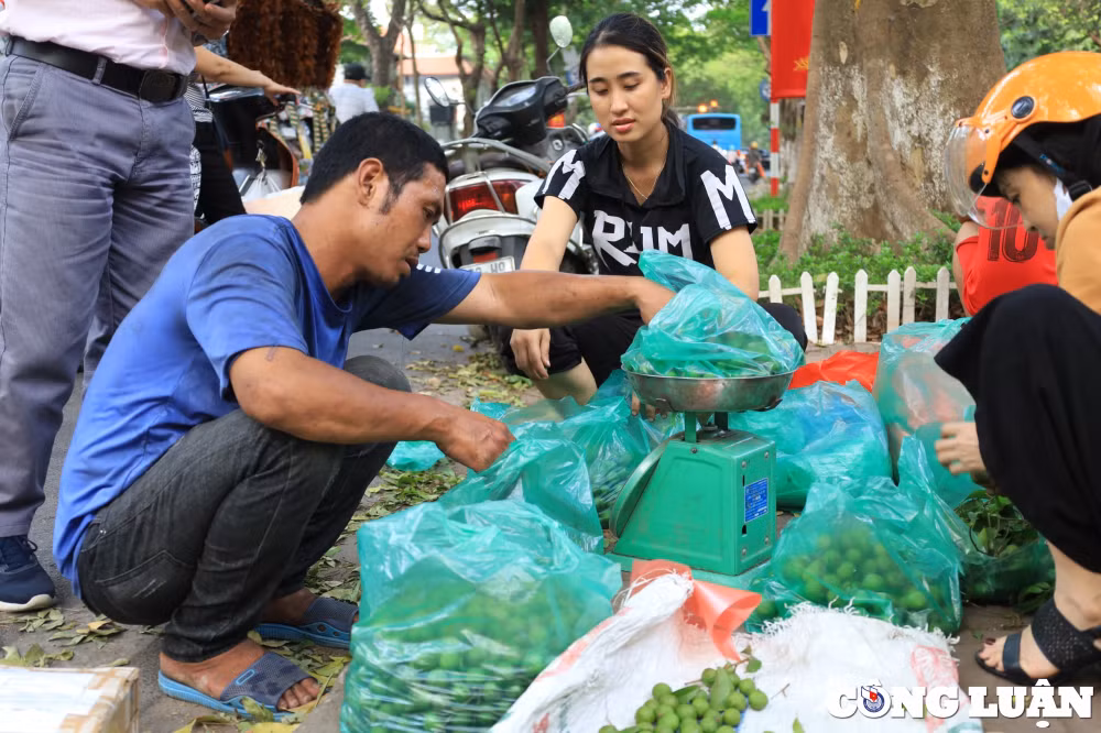 ha noi sau vao mua nguoi dan treo hai ban kiem tien trieu moi ngay hinh 1