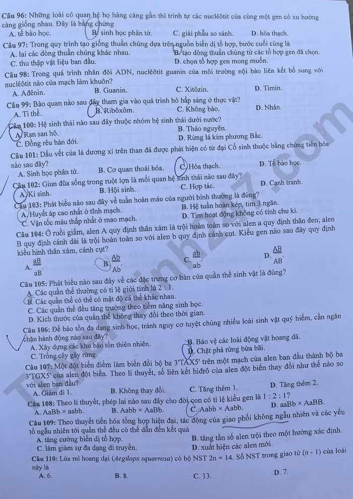 de thi tot nghiep thpt 2023 mon sinh hoc ma de 224 hinh 2