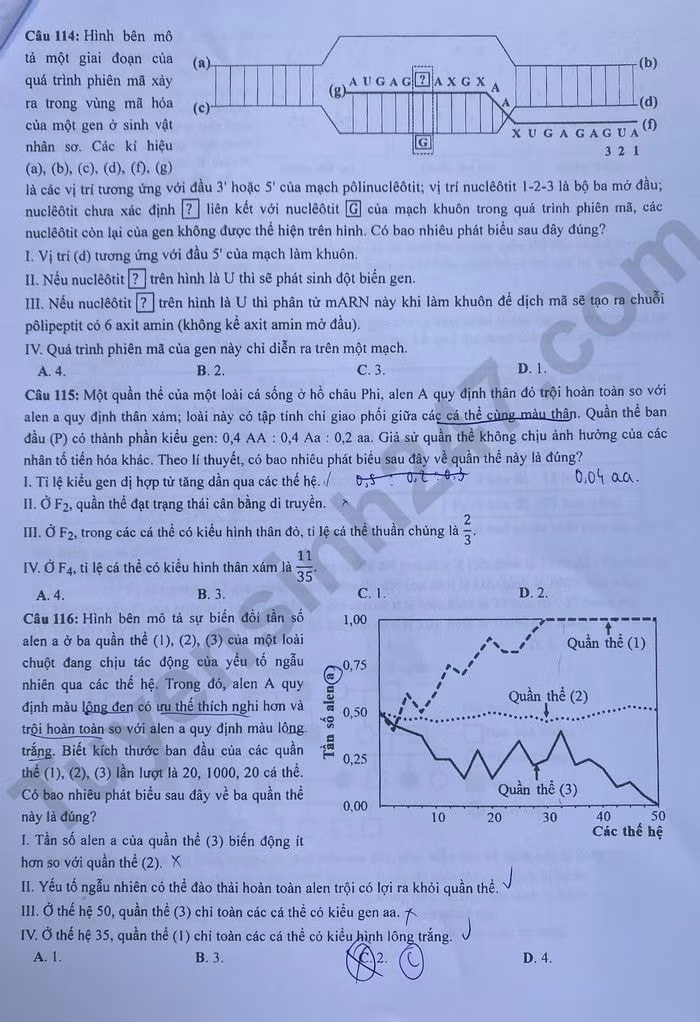 de thi tot nghiep thpt 2023 mon sinh hoc ma de 203 hinh 4
