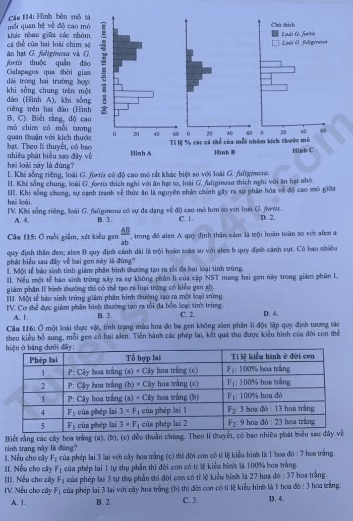 de thi tot nghiep thpt 2023 mon sinh hoc ma de 216 hinh 4