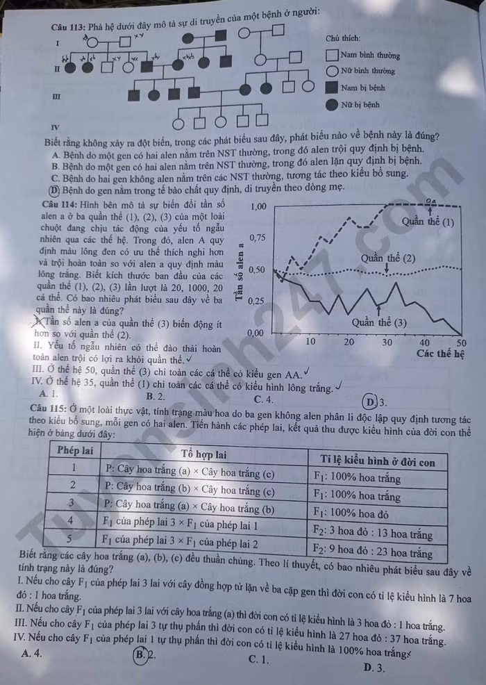 de thi tot nghiep thpt 2023 mon sinh hoc ma de 204 hinh 4