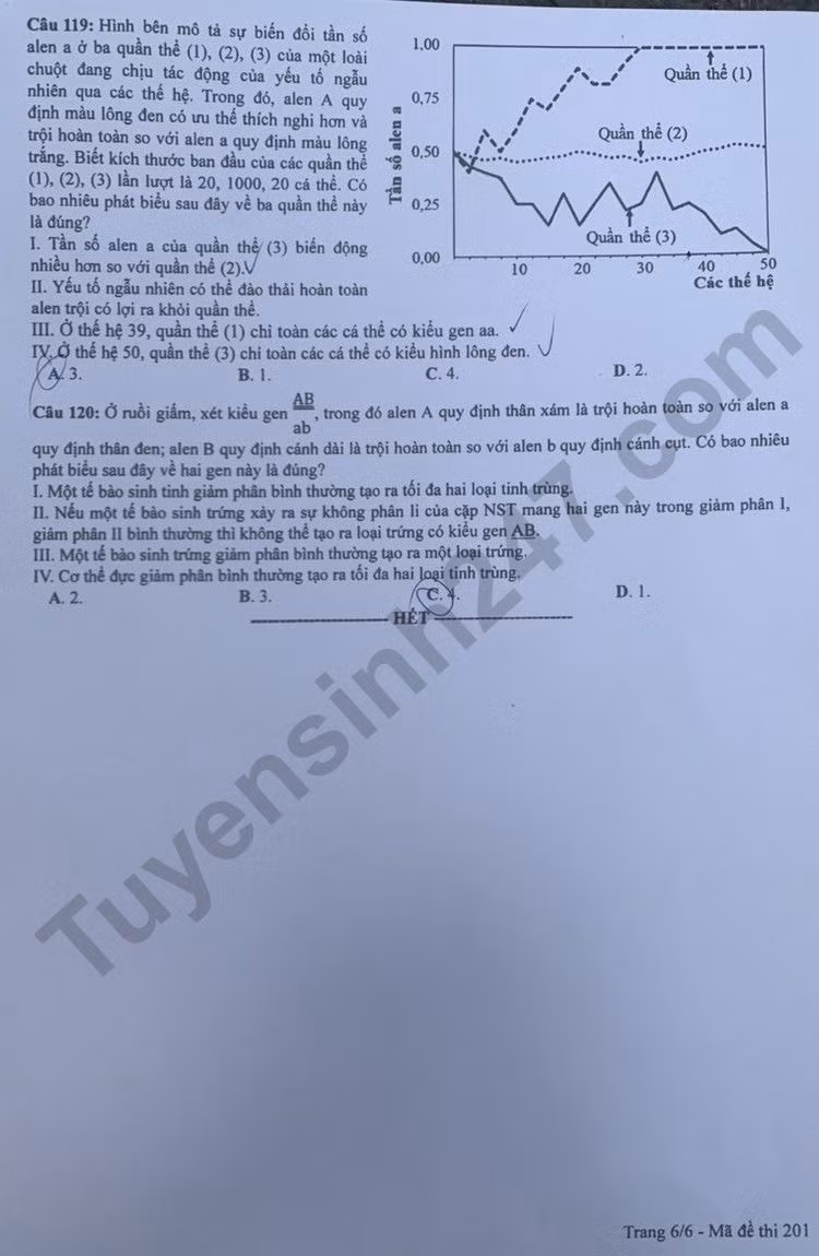 de thi tot nghiep thpt 2023 mon sinh hoc ma de 201 hinh 6
