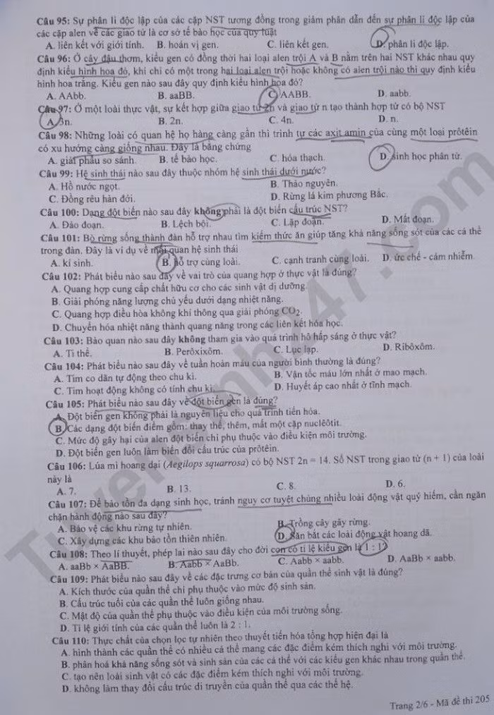 de thi tot nghiep thpt 2023 mon sinh hoc ma de 205 hinh 2