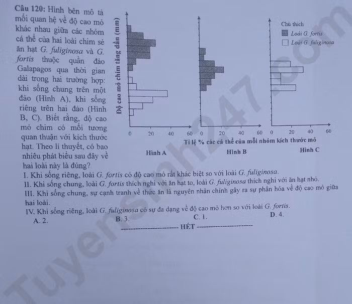 de thi tot nghiep thpt 2023 mon sinh hoc ma de 218 hinh 6