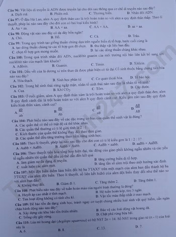 de thi tot nghiep thpt 2023 mon sinh hoc ma de 218 hinh 2