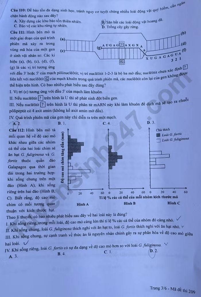 de thi tot nghiep thpt 2023 mon sinh hoc ma de 209 hinh 3