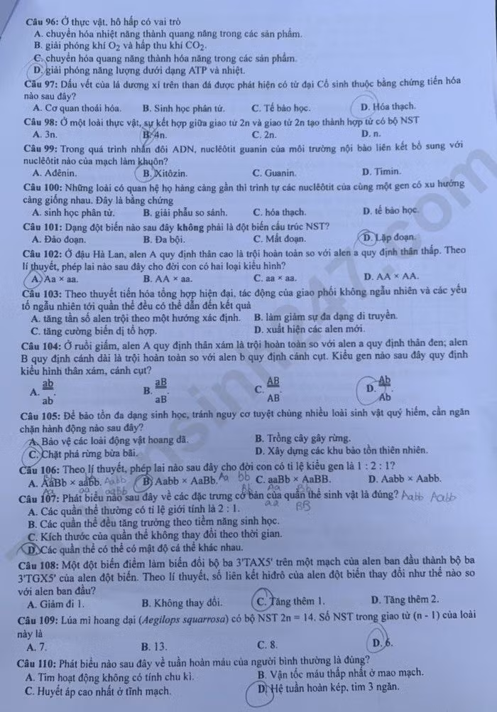 de thi tot nghiep thpt 2023 mon sinh hoc ma de 216 hinh 2