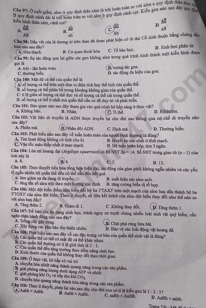 de thi tot nghiep thpt 2023 mon sinh hoc ma de 212 hinh 2