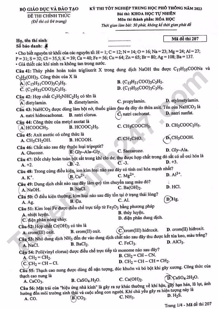 de thi tot nghiep thpt 2023 mon hoa hoc ma de 207 hinh 1