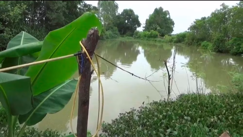 dinh dien bay chuot khien 2 nguoi thuong vong hinh 1