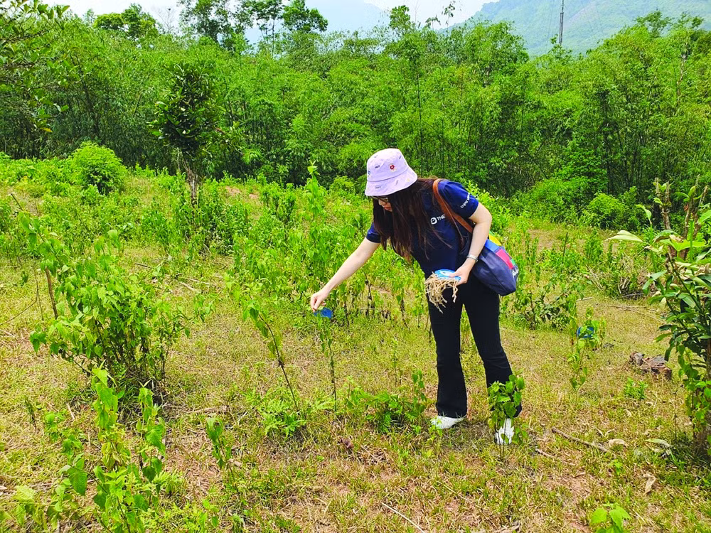 ba chan kieng phat trien ben vung cua tng holdings vietnam hinh 1