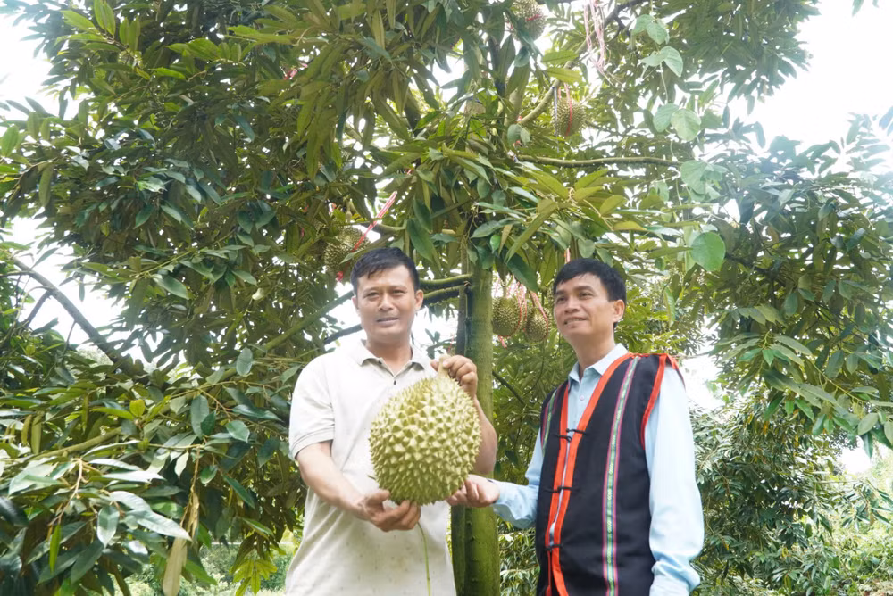 bui-duc-quynh-1.jpg