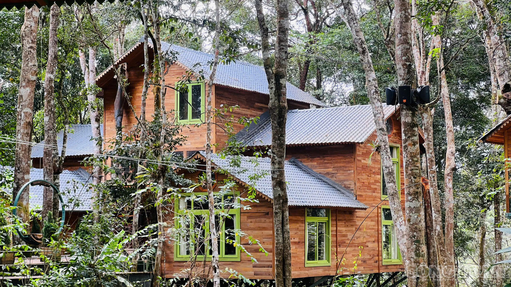 Trước đó, vào năm 2025 UBND tỉnh Quảng Ngãi đã ban hành quyết định công nhận Măng Đen Treehouse là điểm du lịch clo_br_1790580722653-2146614995054802874-2066533862970347997-91d3ab7f79f29bc837e99b8b27ae1450.jpg