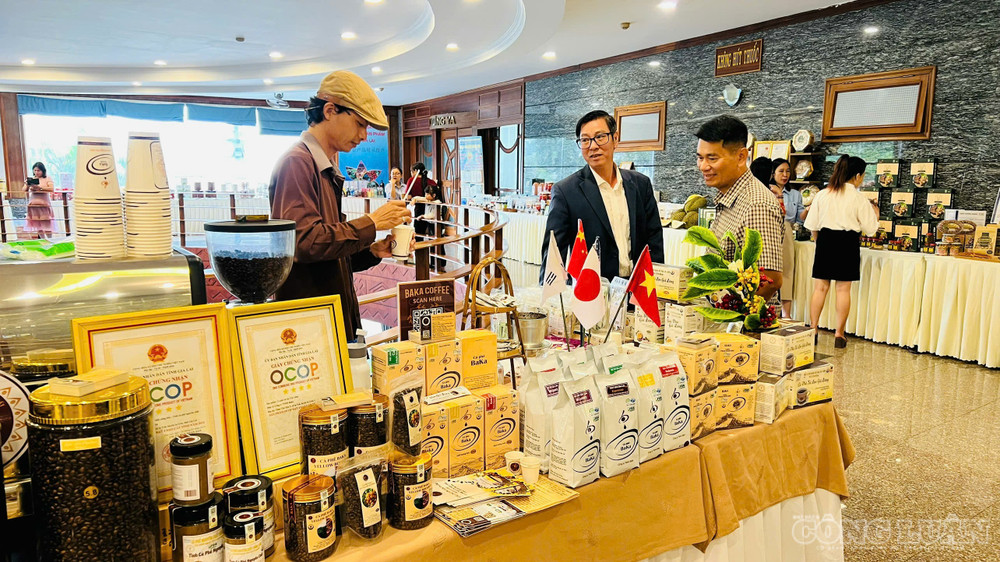 Gia Lai hiện nay đang mở lối tiêu thụ nông sản bằng chuyển đổi số và thương mại điện tử clo_br_1791878992976-2146614995054802874-2066533862970347997-535cfe65c48138e397173753df2f41e5.jpg