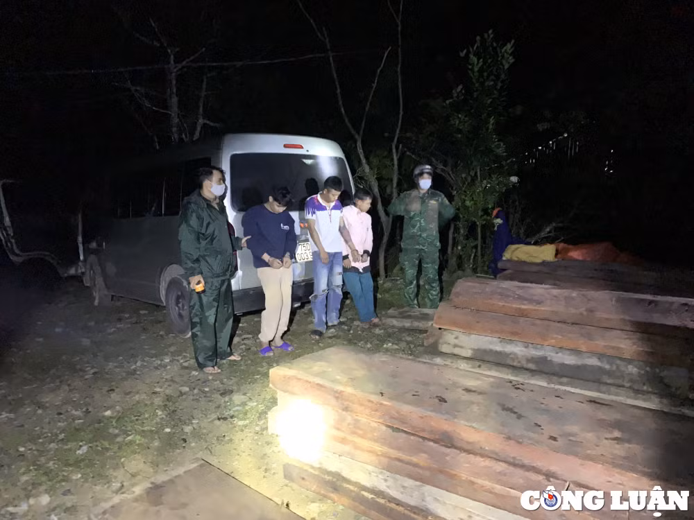 thua thien hue bat giu xe o to van chuyen go trai phep hinh 1