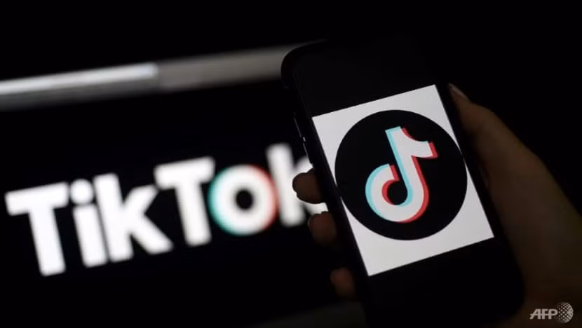 tiktok gioi han thoi gian su dung doi voi tre em hinh 1