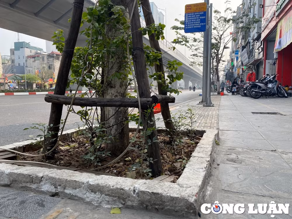 ha noi cot den tru dien thach thuc nguoi khiem thi hinh 3