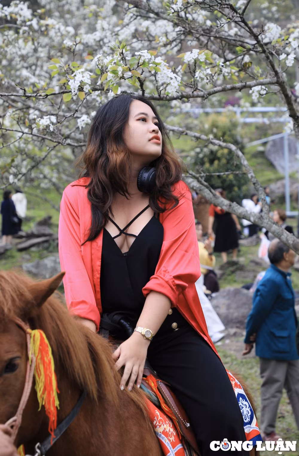 du khach dua nhau check in vuon hoa le no trang nhu tuyet o na hang hinh 12
