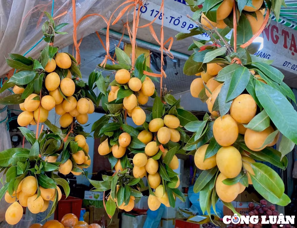thanh tra thai dau mua gia cao 200000 dong kg van hut khach hinh 1