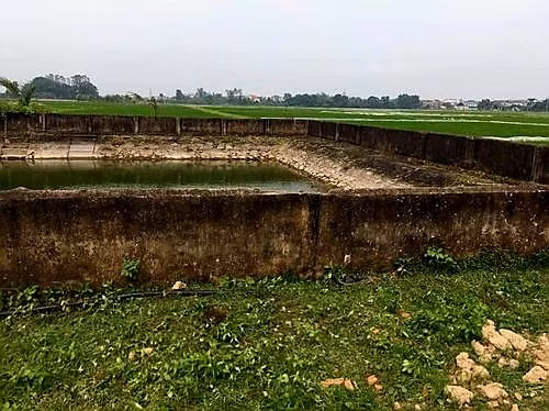 3 nguoi truot chan tu vong khi cau ca o gieng lang hinh 1
