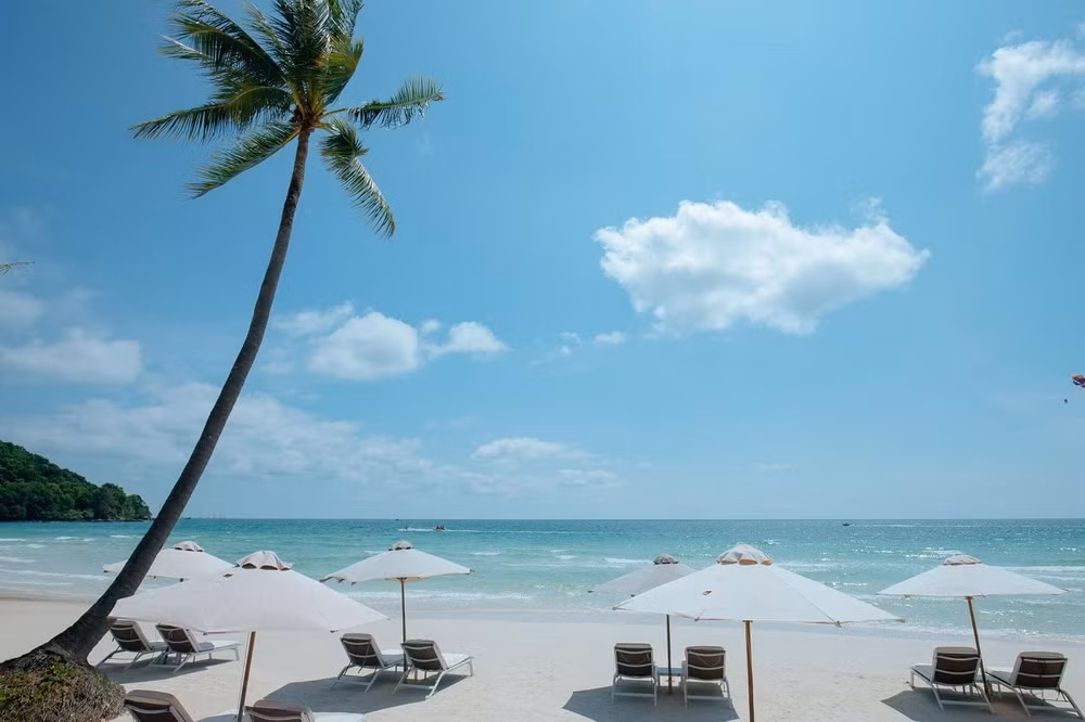 bai sao phu quoc vi ngoi sao sinh ra de toa sang hinh 2