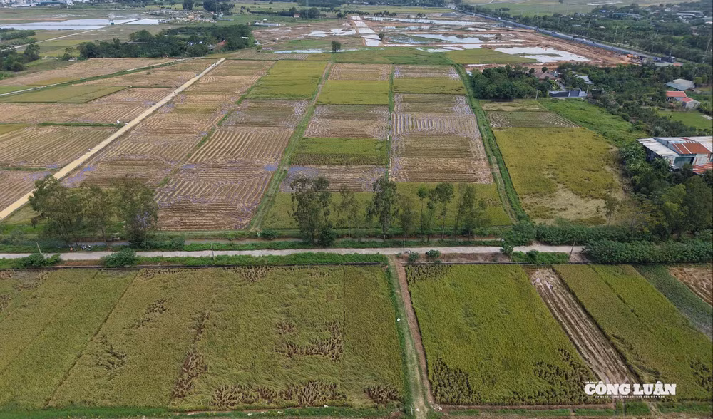 dji_20251004103253_0412_d.jpg
