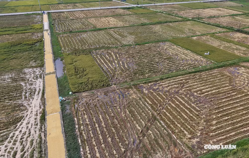 dji_20251004103314_0413_d(1).jpg