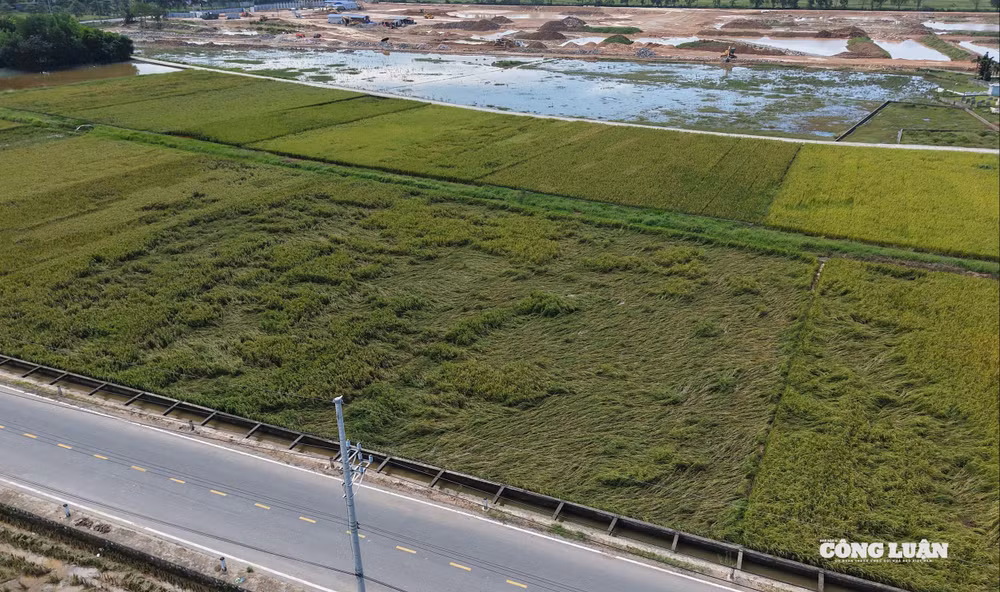 dji_20251004103105_0403_d.jpg