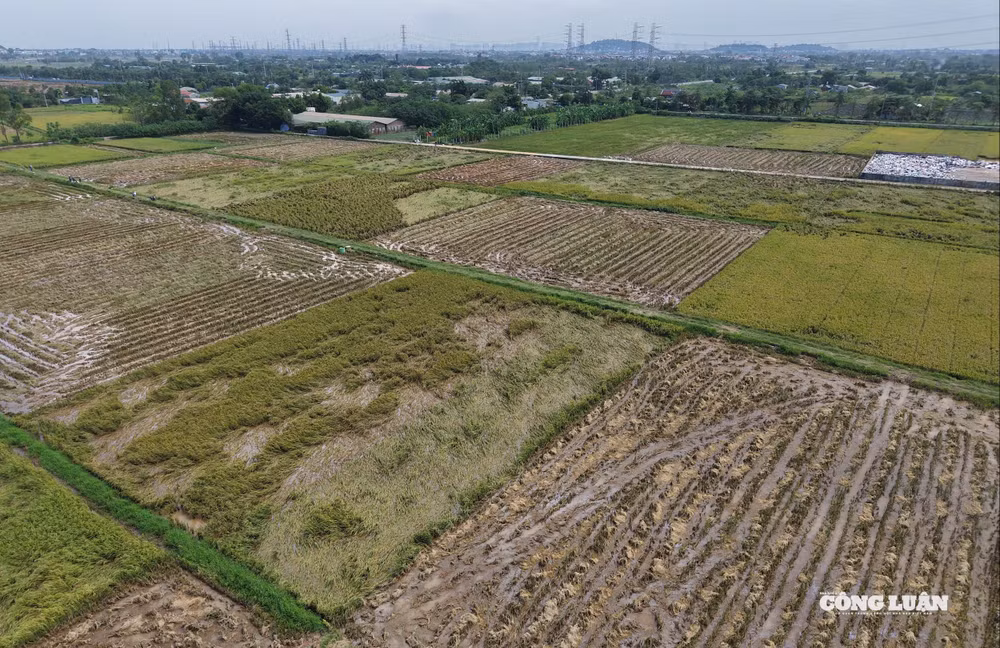 dji_20251004103059_0402_d.jpg