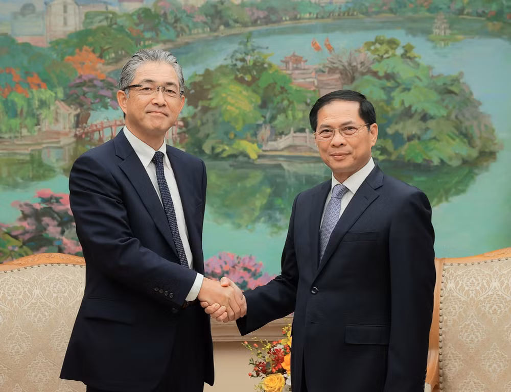 Phó Thủ tướng Bùi Thanh Sơn tiếp Tổng Giám đốc khối điện và hạ tầng toàn cầu Tập đoàn Marubeni- Ảnh 1.
