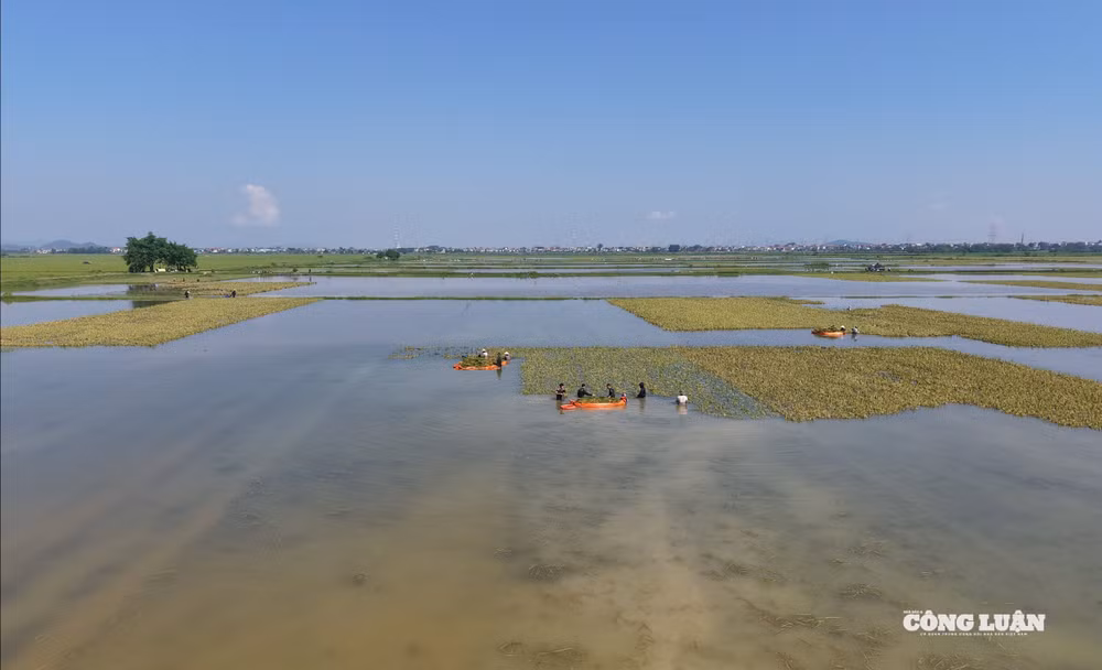 dji_20251009094546_0477_d.jpg