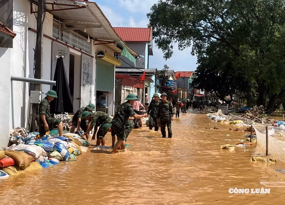 z7098033602162_ffe6ca584c6715cd5734a6c05d18944e.jpg