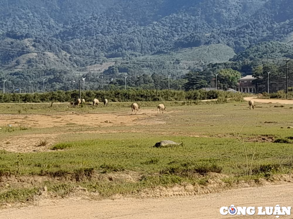 khu cong nghiep yen quang hoa binh cham tien do nhieu nam can danh gia lai nang luc nha dau tu hinh 3