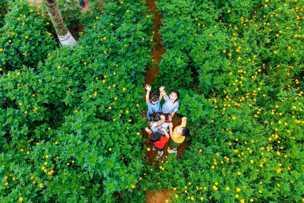tre em pho thi vui tet thieu nhi trong do thi trieu cay xanh hinh 9