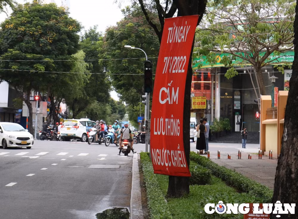 bat chap lenh cam nhieu xe may van phong nguoc chieu giua trung tam tp hcm hinh 6