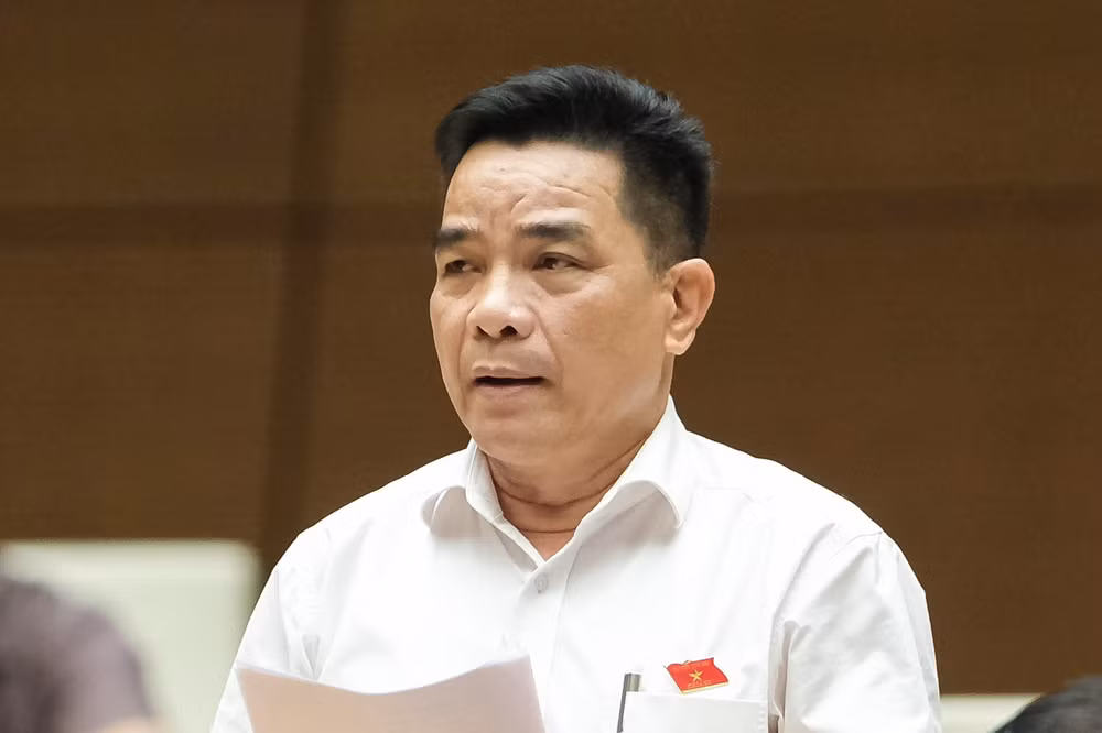 dieu chinh quy hoach con chay theo du an hinh 2