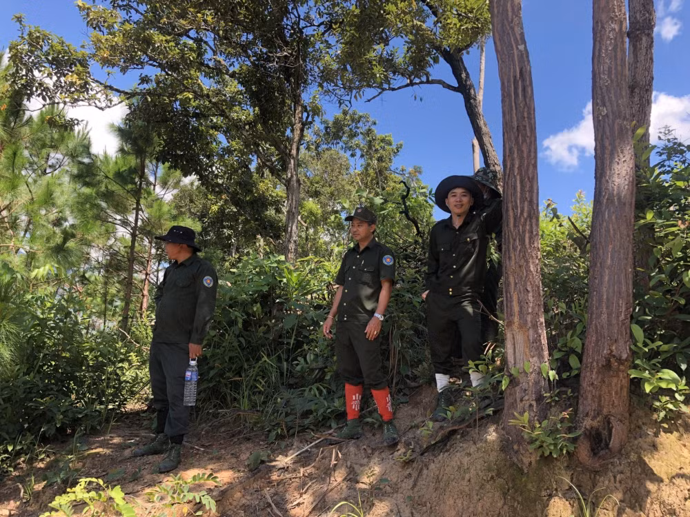cong ty lam nghiep kon ray chu dong trong cong tac phong chong chay rung mua kho hinh 3