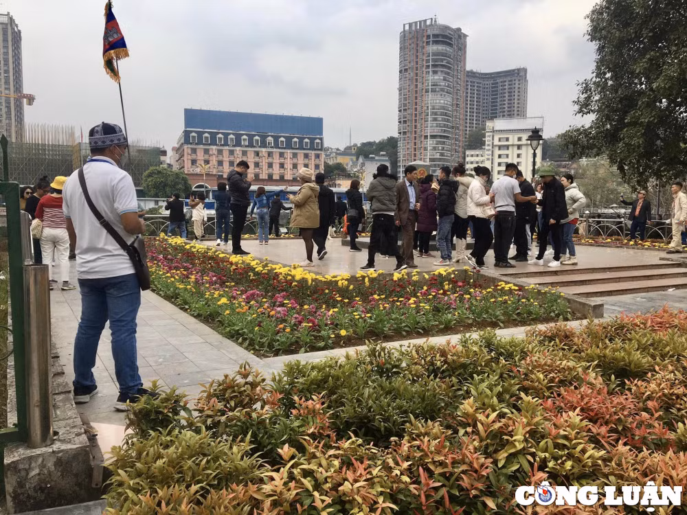 lao cai thang tet don 70 van luot du khach doanh thu hon 2400 ty hinh 1