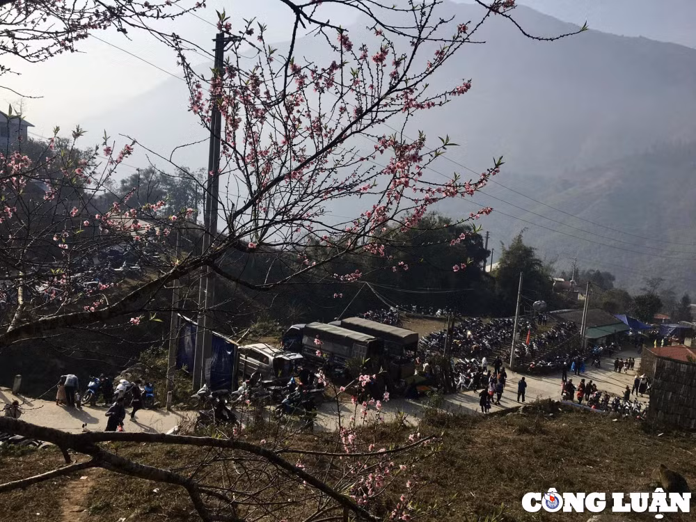 hang ngan nguoi vui hoi xuan ban mong tai sa pa hinh 5