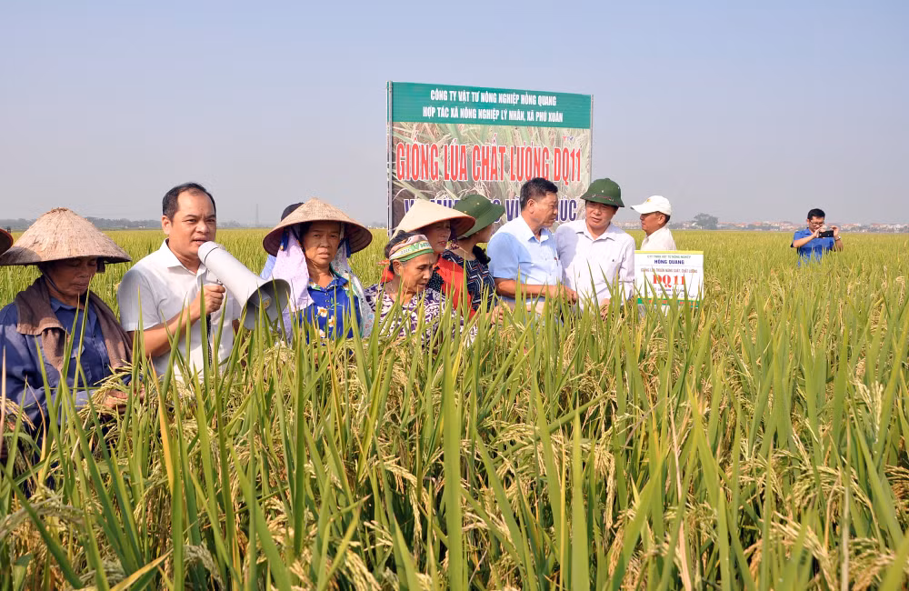 den nam 2030 co tren 5000 hop tac xa ung dung cong nghe cao vao san xuat nong nghiep hinh 1