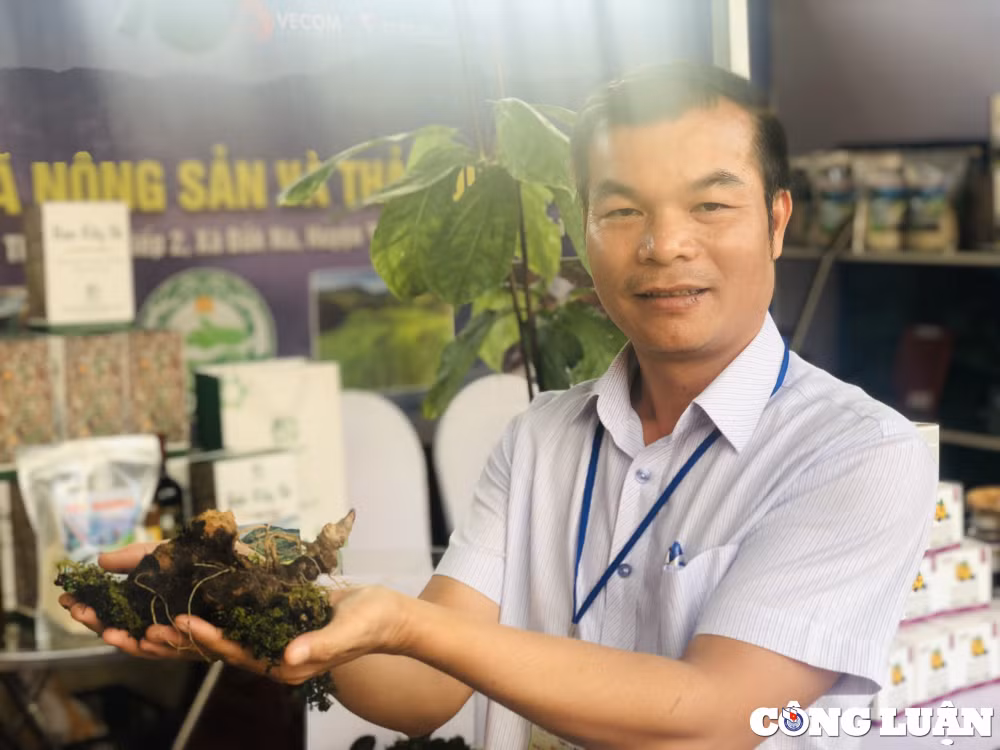 diem mat nhung cu sam khung tai phien cho sam ngoc linh lan 2 hinh 5