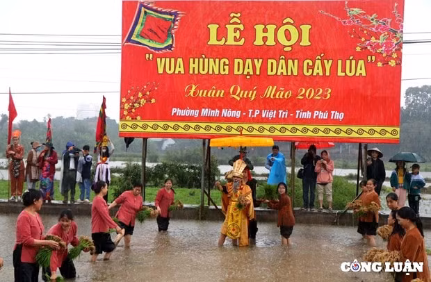 doc dao le hoi vua hung day dan cay lua o phu tho hinh 4