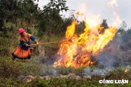 lao cai canh bao nguy co chay rung sau tet hinh 1