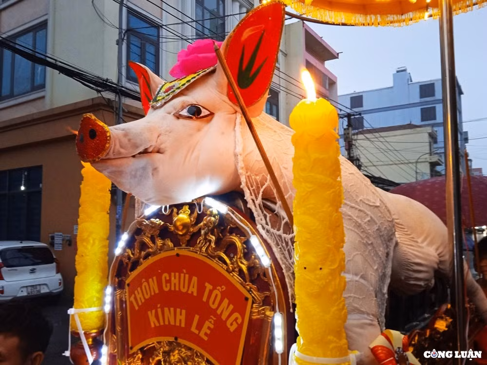 doc dao le ruoc ong lon o la phu hinh 1
