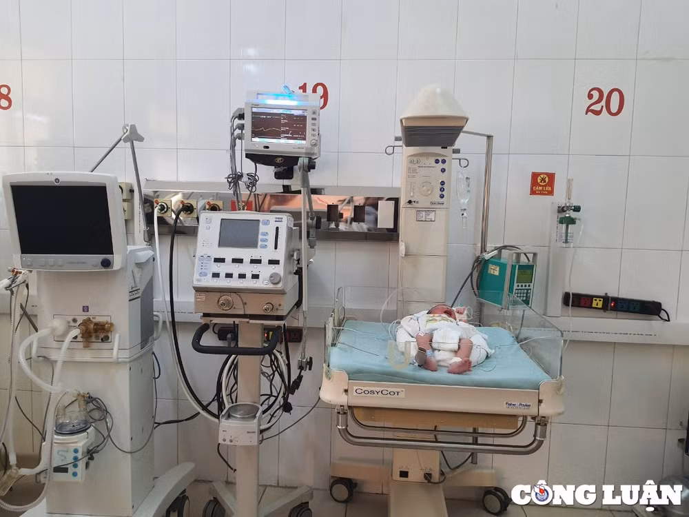 ha tinh sap co trung tam san nhi hinh 2