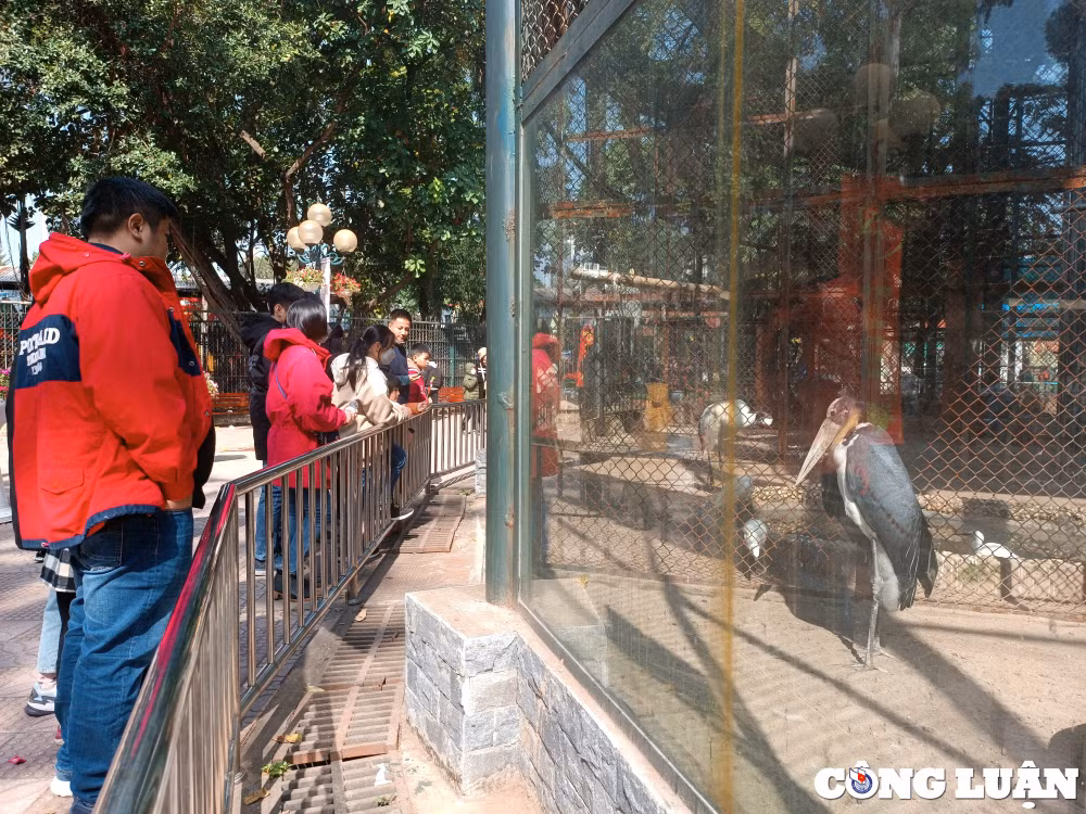 de xuat mua them mot so loai dong vat cho vuon thu ha noi hinh 1