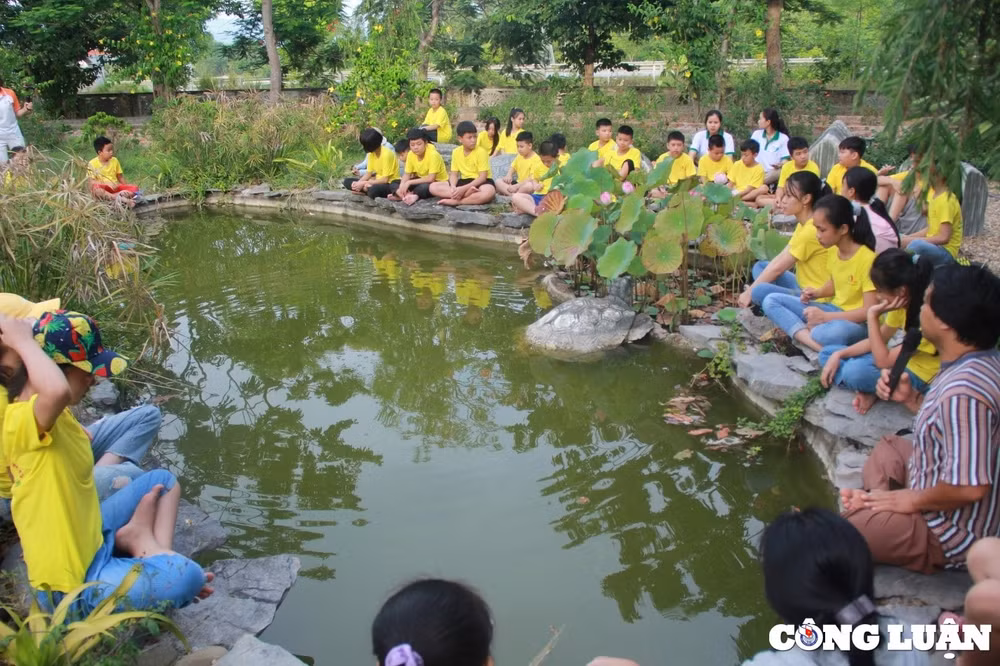 phu huynh rao riet tim trai he dao tao cac ky nang song cho con hinh 3