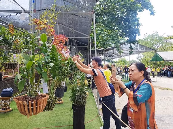 hon 400 tac pham tham gia le hoi hoa lan da nang 2023 hinh 1