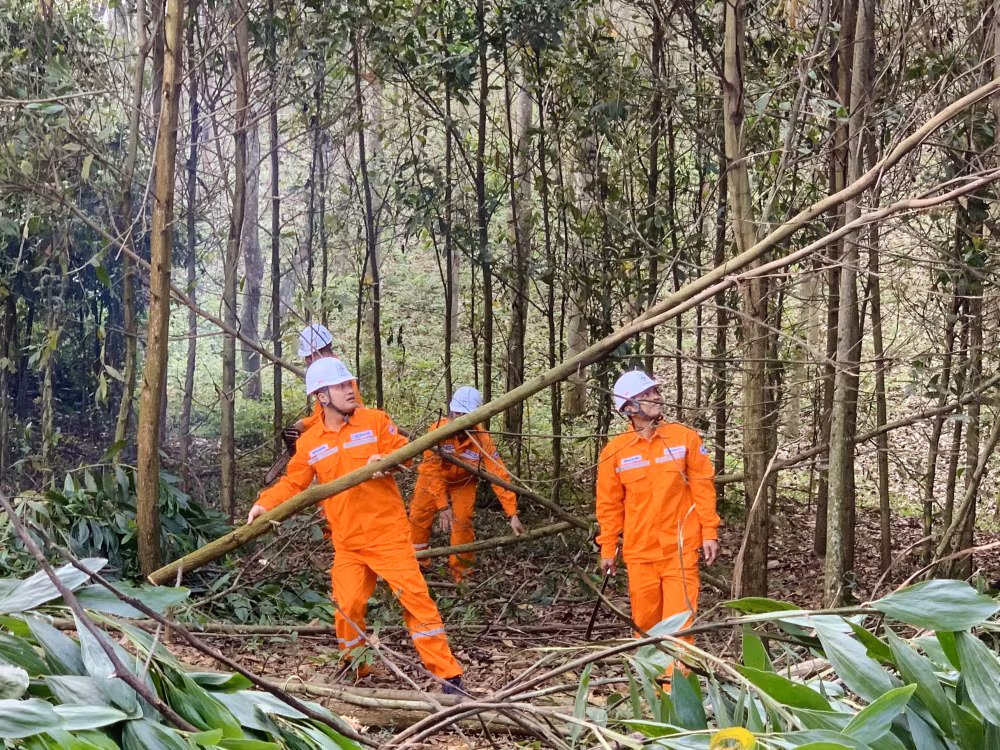 bao dam hanh lang an toan luoi dien tren dia ban tinh thanh hoa hieu qua khong chi den tu no luc cua nganh dien hinh 1