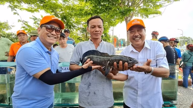 ca mau khong to chuc le hoi khinh khi cau do thoi tiet khong dam bao hinh 2